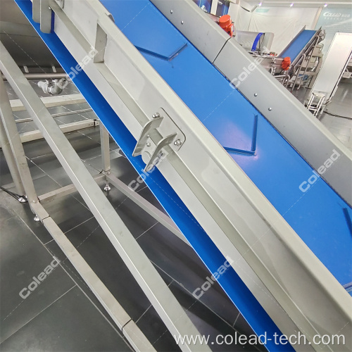 SUS304 new commercial fruits and vegetable processing line